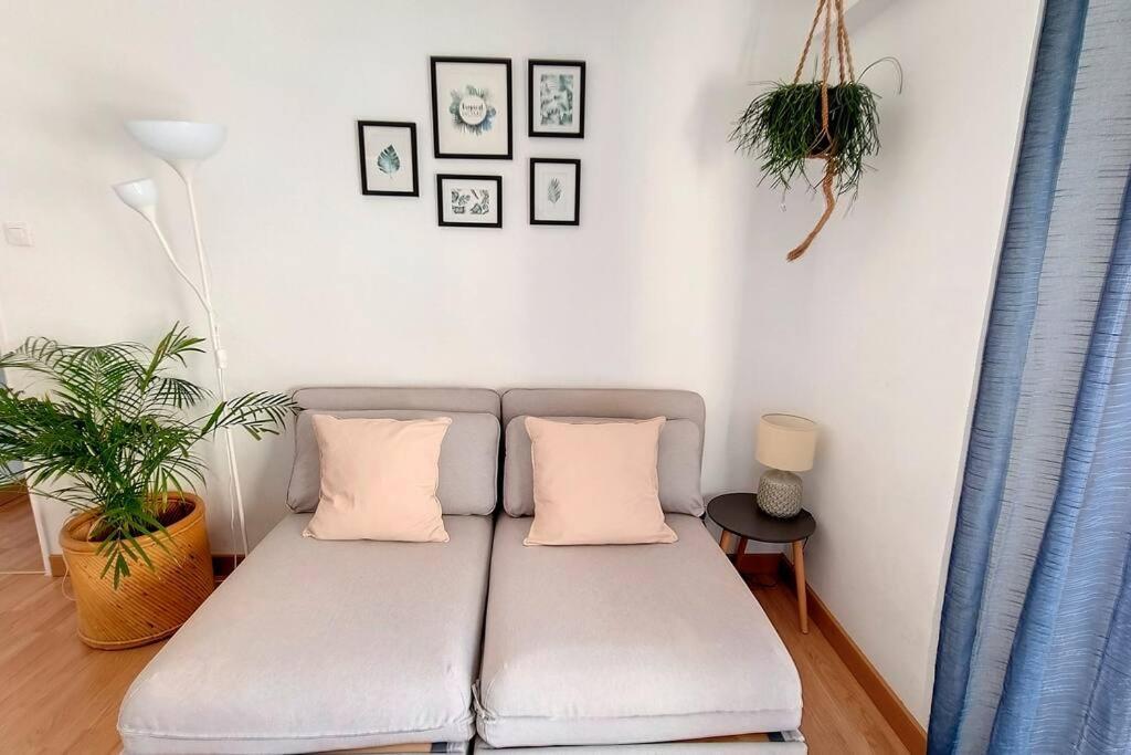 Cozy One Bedroom Lisbon